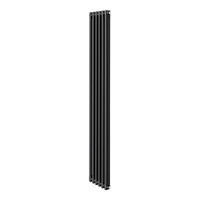 Стальной трубчатый радиатор отопления Royal Thermo Insignia C2180 - 06 секции (черный)