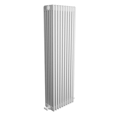 Стальной трубчатый радиатор отопления IRSAP TESI 6 2500, 1 секция (RT62500YY01RI02) Стальной трубчатый радиатор отопления IRSAP TESI 6 2500, 1 секция (RT62500YY01RI02)
