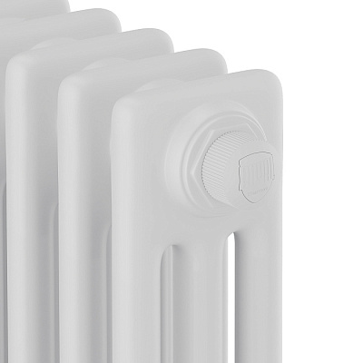 Стальной трубчатый радиатор отопления Royal Thermo Insignia VC3030 - 42 секции (белый)